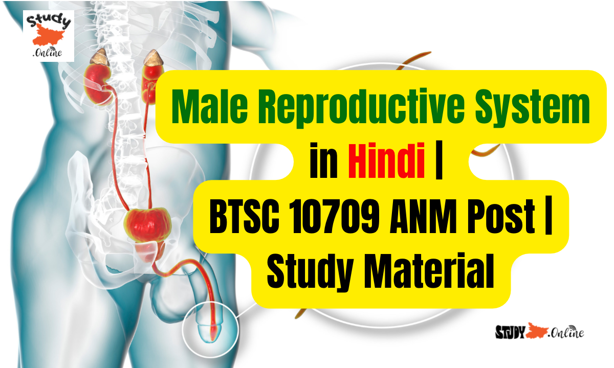 Male reproductive system in Hindi